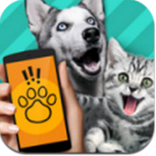 动物语言翻译器app