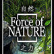 自然之力中文补丁 v1.54