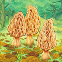 蘑菇大战手机版 v3.1.8